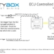 Wiring diagram showing how to wire a thermostatic cooling fan switch to the MASTERCELL NGX in the Infinitybox IPM1 Kit